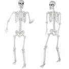 Halloween Skeleton Kukooka 180 cm de juntas móveis em tamanho real