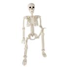 Halloween Skeleton Toolterritary, 3 pés, articulações posáveis de corpo inteiro