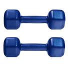 Halter Sextavado 3kg Emborrachado PVC o Par Azul