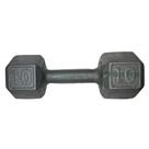 Halter Sextavado de Ferro Fundido Pintado - 10 Kg Halter Sextavado de Ferro Fundido Pintado - 10 Kg