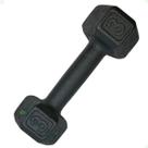 Halter Sextavado de Ferro Fundido Pintado - 3 Kg