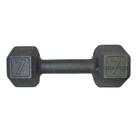 Halter Sextavado de Ferro Fundido Pintado - 7 Kg Halter Sextavado de Ferro Fundido Pintado - 7 Kg
