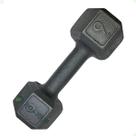 Halter Sextavado de Ferro Fundido Pintado - 9 Kg Halter Sextavado de Ferro Fundido Pintado - 9 Kg