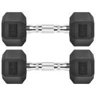 Halteres Hexagonais de Ferro Fundido Revestidos em Borracha 10kg/Par - Zoomster