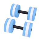 Halteres para exercícios aquáticos Dwawoo Resistance Training Blue