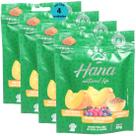 Hana Natural Life Abóbora Frutas Vermelhas Linhaça 80g Para Cães Adultos Kit Com 4 Un