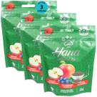 Hana Natural Life Maçã Blueberry Chia 80g Snacks Para Cães Adultos Kit Com 3 un