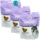 Hana Senior 7 Envelhecimento Saudável 80g Snacks Para Cães Adultos Kit Com 3 un