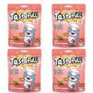 Hana Tastefull Para Gatos Kit 4 Un Salmão Grelhado 150g