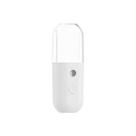 Hand-held Facial Hidratante Pulverizador Steamer Beauty Device Umidificador