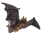 Hand Puppet Folkmanis Fruit Bat marrom e preto