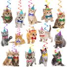 Hanging Swirls Decorations Umoni Cat Kitten Birthday Party Hanging Swirls Decorations Umoni Cat Kitten Birthday Party