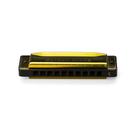Harmonica Golden Blues em Mi Hering 5020E