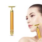 Harmonizador Facial Profissional Vibrante Skin Care Drenagem Linfática Rolo Dourado 24k Original Pro