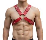 Harness Gadiador Luxo BY031 Couro Legítimo