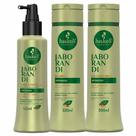 Haskell Jaborandi Kit Shampoo + Condicionador + Tônico Haskell Jaborandi Kit Shampoo + Condicionador + Tônico
