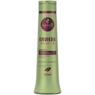 Haskell Shampoo Bananeira Tratamento Pós Química 500ml