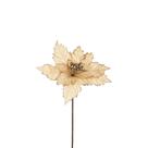 Haste Decor Champagne 23 X 50Cm Haste Decor Champagne 23 X 50Cm