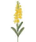 Haste delfinium silvestre amarelo - 51177
