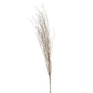 Haste Fios De Glitter Champagne 90Cm