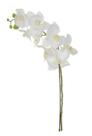Haste Flor Artificial Orquídea Phalaenopsis Real Toque X8 77cm Haste Flor Artificial Orquídea Phalaenopsis Real Toque X8 77cm