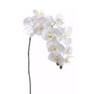 Haste Flor Orquídea Phalaenopsis Branca Toque Real Silicone Artificial 73cm Florarte