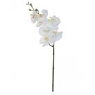 Haste Flor Orquidea Phalaenopsis Real Toque C-coat X7 Branco 63cm