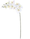 HASTE FLOR ORQUIDEA PHALAENOPSIS REAL TOQUE X9 BRANCO AMARELO 94cm HASTE FLOR ORQUIDEA PHALAENOPSIS REAL TOQUE X9 BRANCO AMARELO 94cm