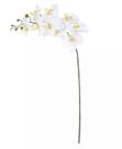 HASTE FLOR ORQUIDEA PHALAENOPSIS REAL TOQUE X9 BRANCO BEAUTY 94cm