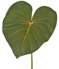 Haste Folha Gigante Antúrio em PVC Verde Haste Folha Gigante Antúrio em PVC Verde