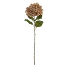 Haste Hortência Chá Outono 84cm