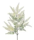 Haste lavanda outonada creme 62cm