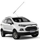 Haste Lisa Ford 55Cm