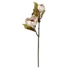 Haste Magnolia Outonada 20x85cm (LxA) - Natural