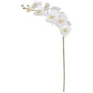 Haste orquidea bela flor phalaenopsis toque real branco 90cm x9