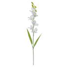 Haste Orquídea Dendrobium Florarte 62cm Branca Haste Orquídea Dendrobium Florarte 62cm Branca