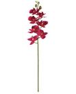 Haste Orquídea Magenta 3D Toque Real - 75cm Haste Orquídea Magenta 3D Toque Real - 75cm