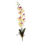 Haste orquídea phalaenopsis toque real branco lavanda com 7 galhos 45cm - flor arte