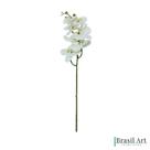 Haste Permanente de Orquídea Phalaeno Branca 63cm