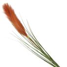 Haste pluma capim dos pampas artificial