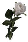 Haste rosa unitária 71cm artif - branco