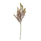 Haste Semente Dracena Outonado Aveludado 65cm - Marrom