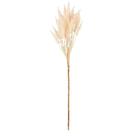 Haste Trigo Aveludado Claro 48cm
