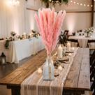 Hastes Capim dos Pampas Rosa Bebê Natural 01 Kit com 7 Unidades 30cm para Decoração de Interiores e Eventos
