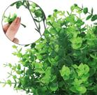 Hastes da Vegetação Elementos Naturais para Decorações Versáteis