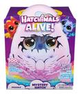 Hatchimals Surpresa Dragão Hatchimals Alive Sunny 4006