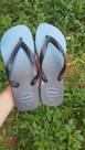 Havaiana slin listras original