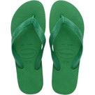 Havaianas Color Verde Pátria - Embalagem com 6 Unidades 35-36