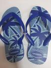 Havaianas com Max nature