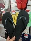 Havaianas Slim Lisa